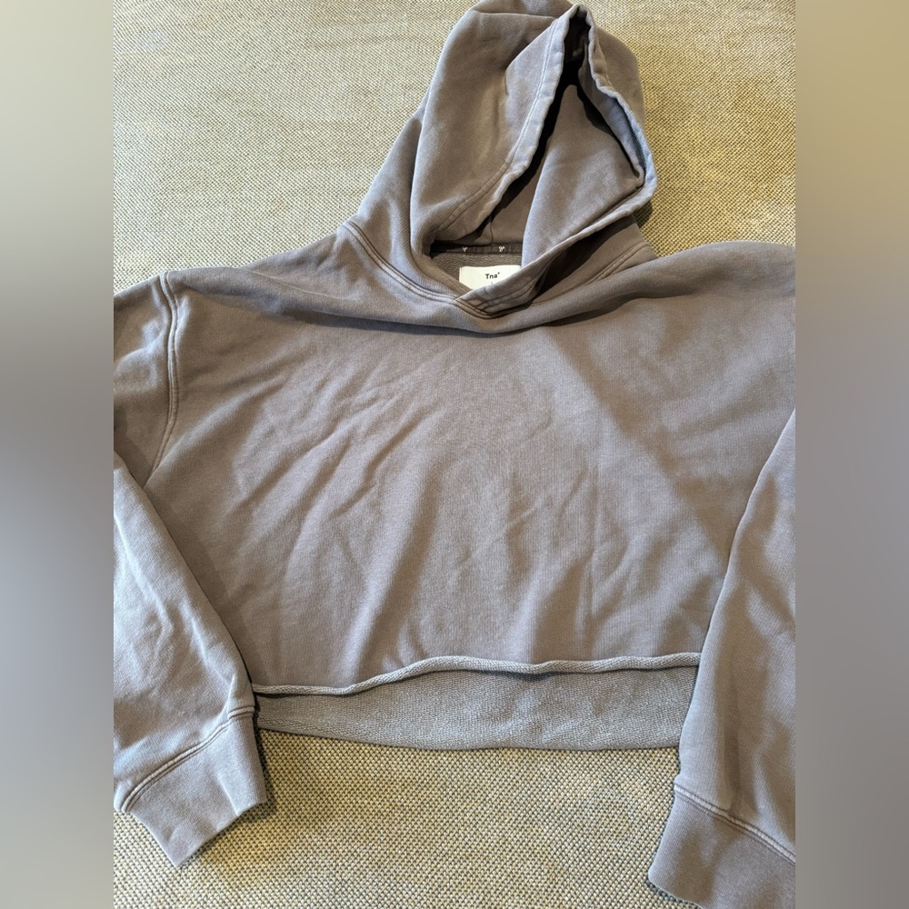 Aritzia TNA Cropped Hoodie